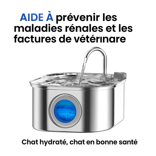 Protégez votre chat de la déshydratation et des urgences urinaires avec VitaChat